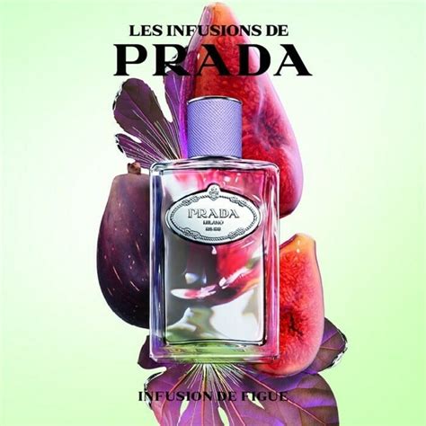 infusion de figue prada fragrantica